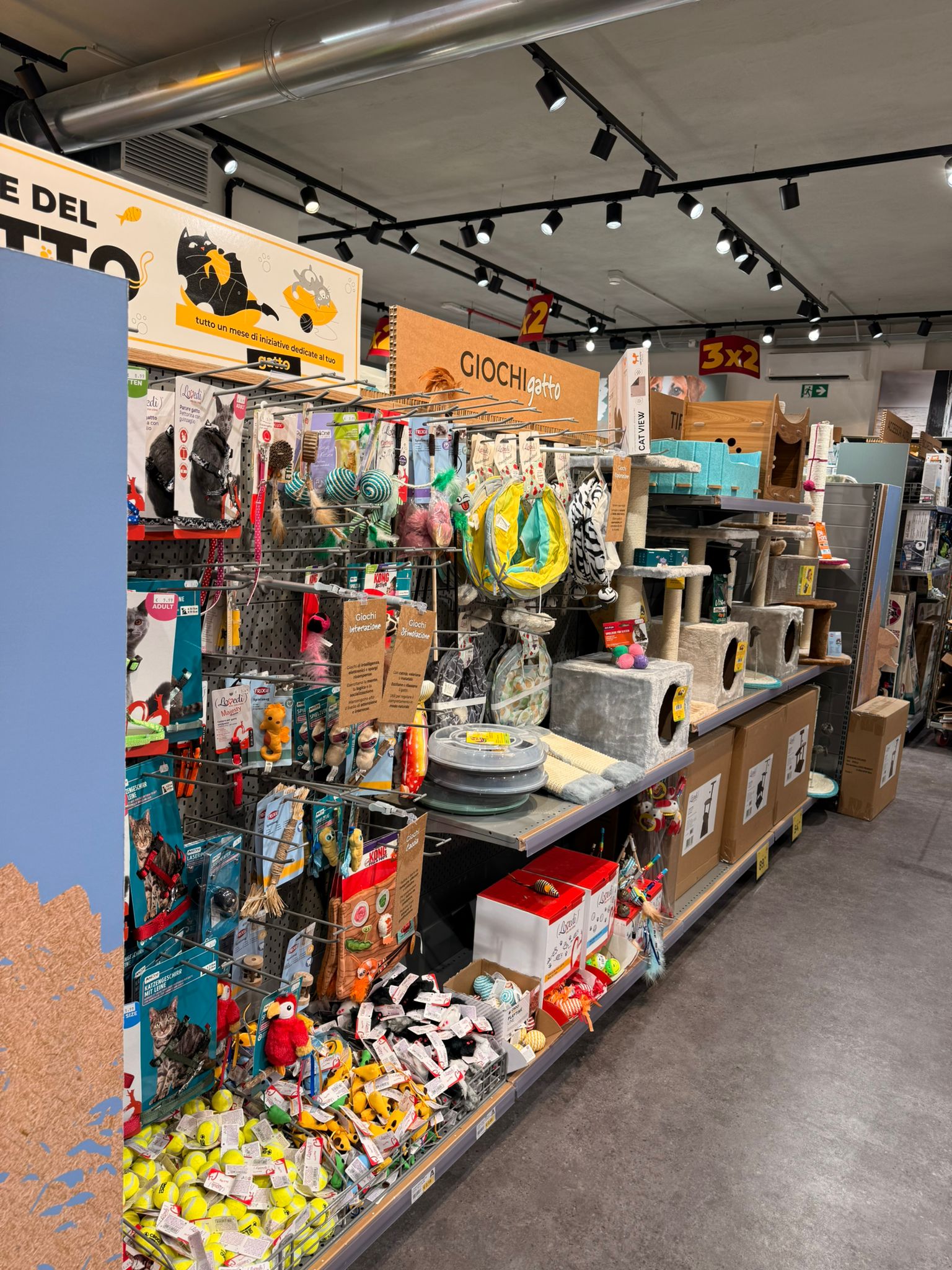 Immagine Arcaplanet Tempio Pausania