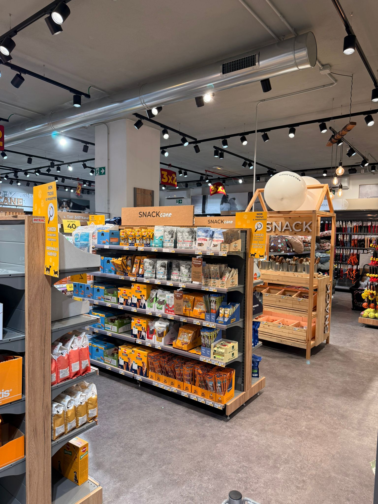 Immagine Arcaplanet Tempio Pausania