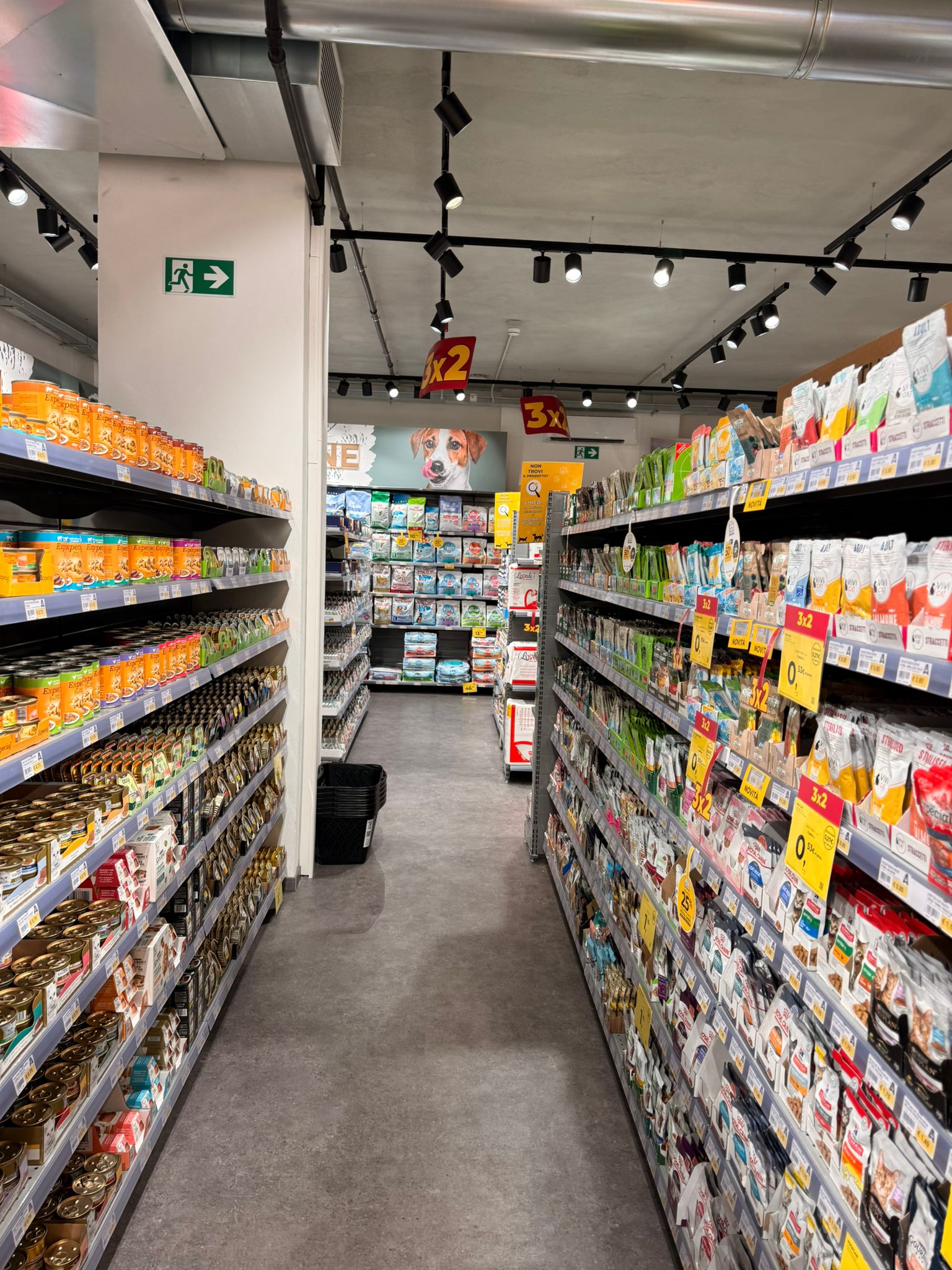 Immagine Arcaplanet Tempio Pausania